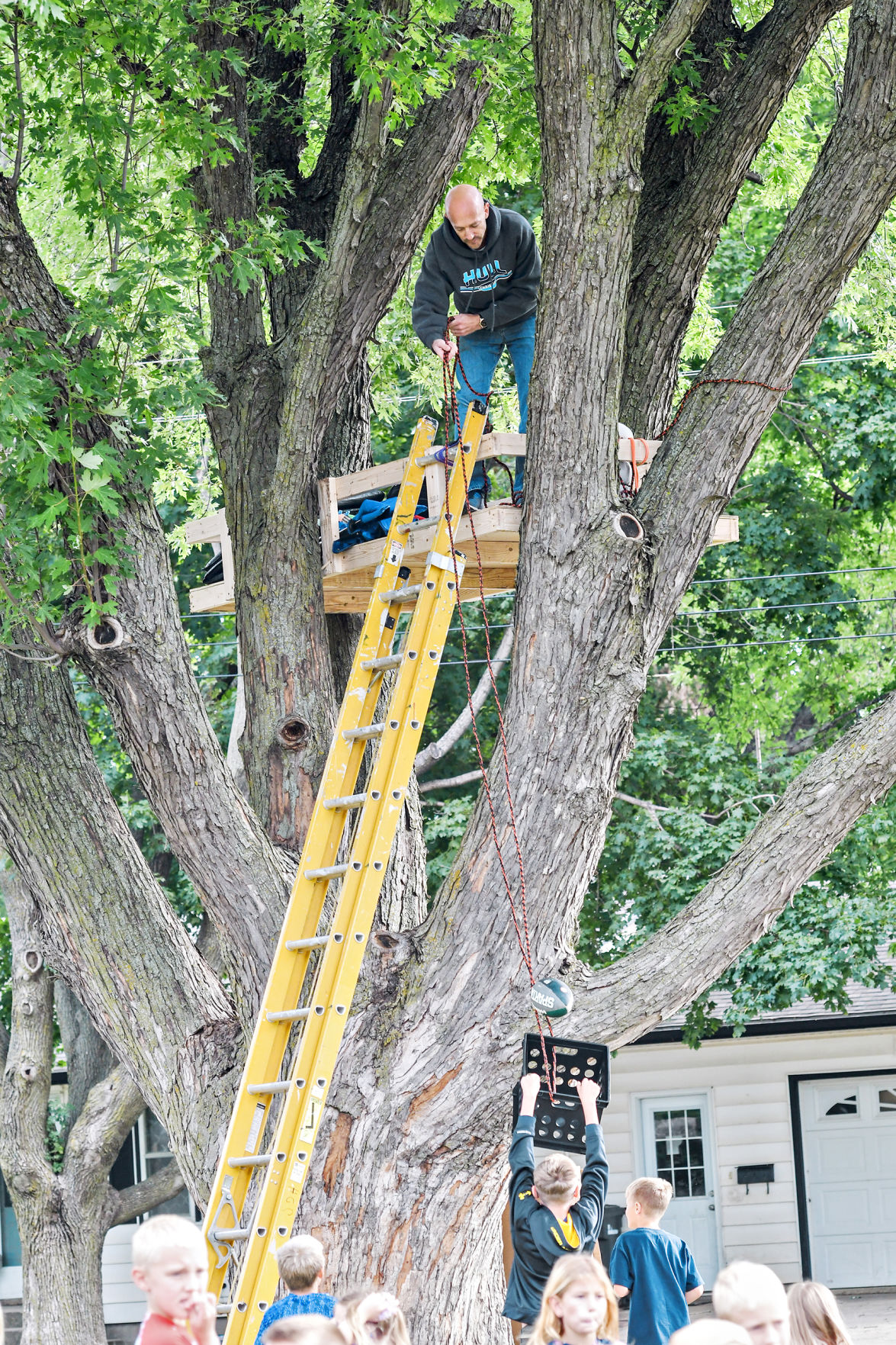 Randy Ten Pas in tree